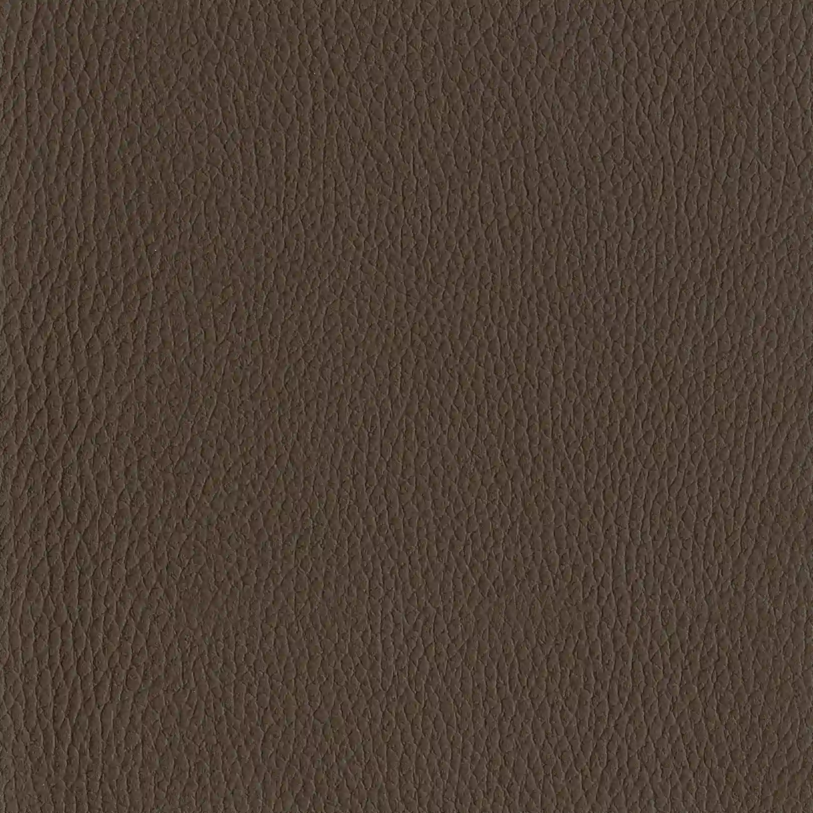 burrow coloured fabric