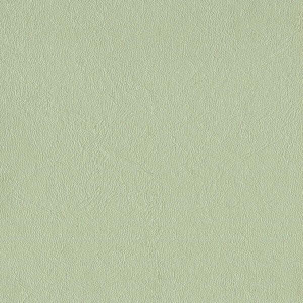 Richmond Apple Leather Effect Fabric